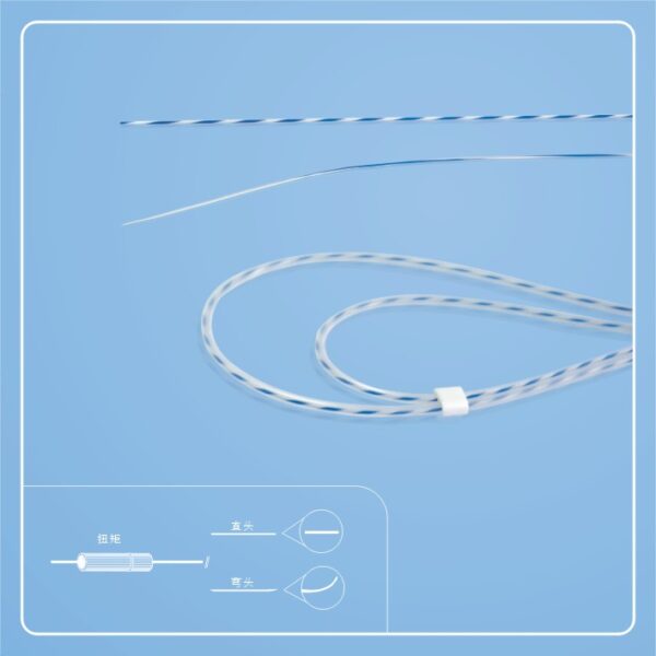 Zebra Guidewire